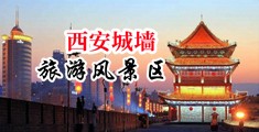 插逼网址视频中国陕西-西安城墙旅游风景区